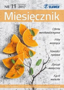 Miesięcznik Listopad 2017 r.