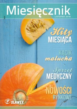 Miesięcznik Listopad 2018 r.