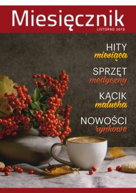 Miesięcznik Listopad 2019 r.