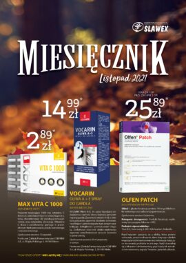 Miesięcznik Listopad 2021 r.