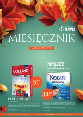 Miesięcznik Październik 2022 r.