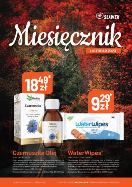 Miesięcznik Listopad 2023 r.